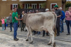 k-007Schneuter ltere Vigor BLEMLI
